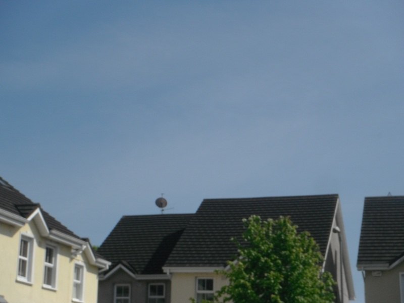 Advanced Tree Care work photograph 4