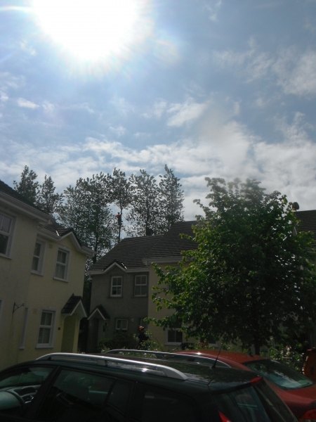 Advanced Tree Care work photograph 6